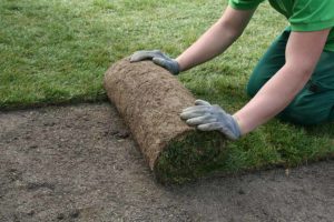 lawn-care-business-software-maximize-productivity lawn care business software maximize productivity