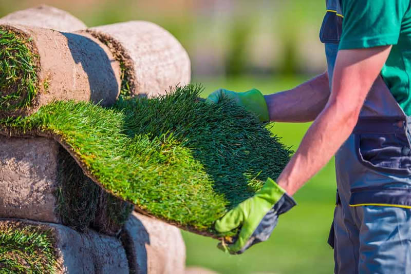 arborgold industries - lawn care software