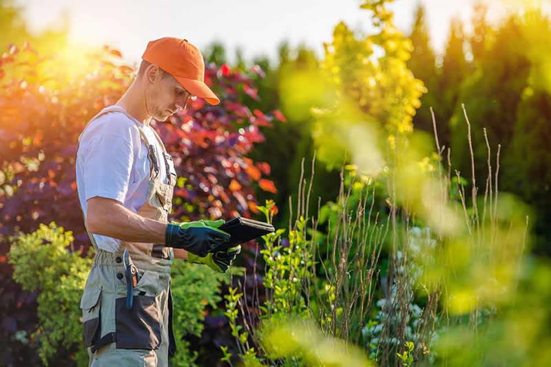 arborgold industries - plant health care software