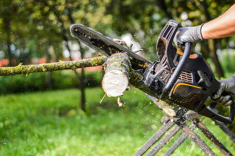 arborgold industries - tree care software