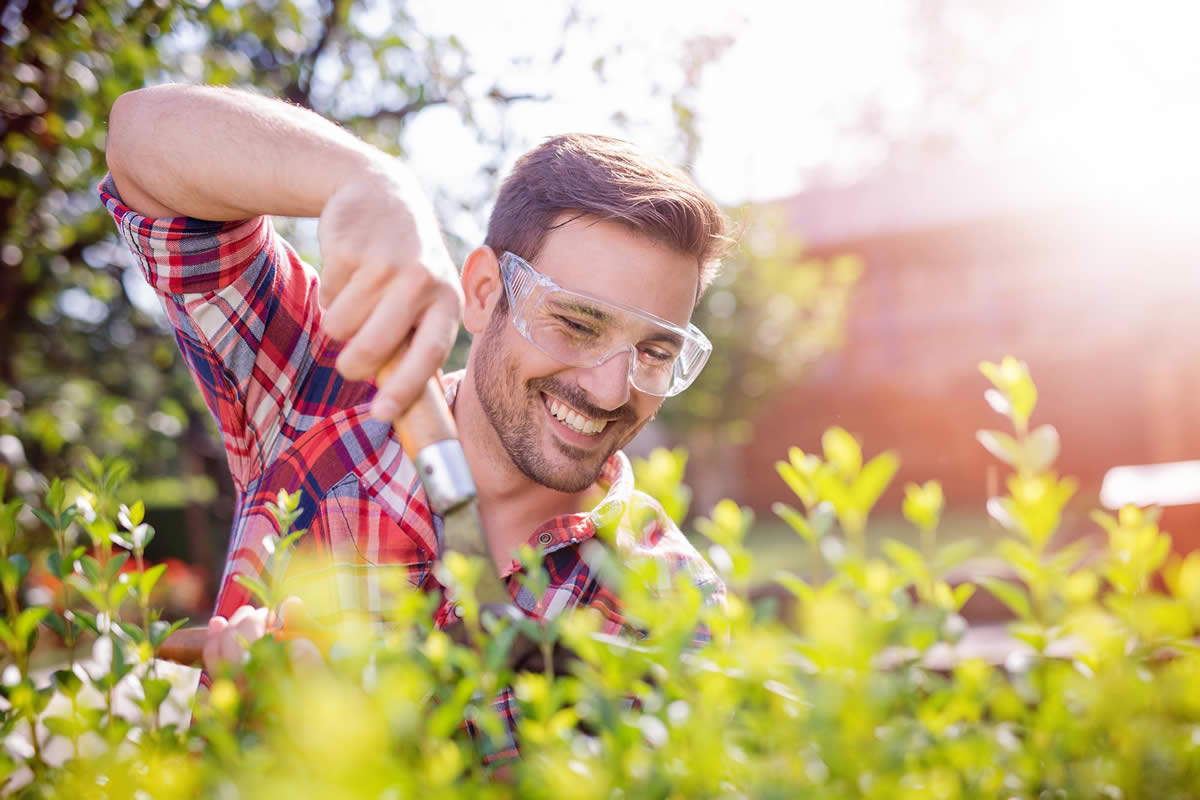 arborgold service Scheduling arborgold service Scheduling