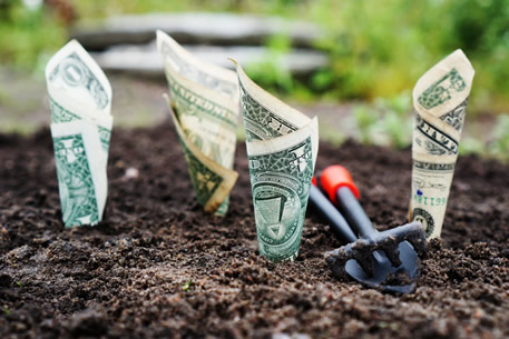 job proposal templates money arborgold job proposal templates money arborgold