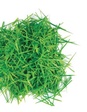 bg-arborgold-white-grass-left bg-arborgold-white-grass-left