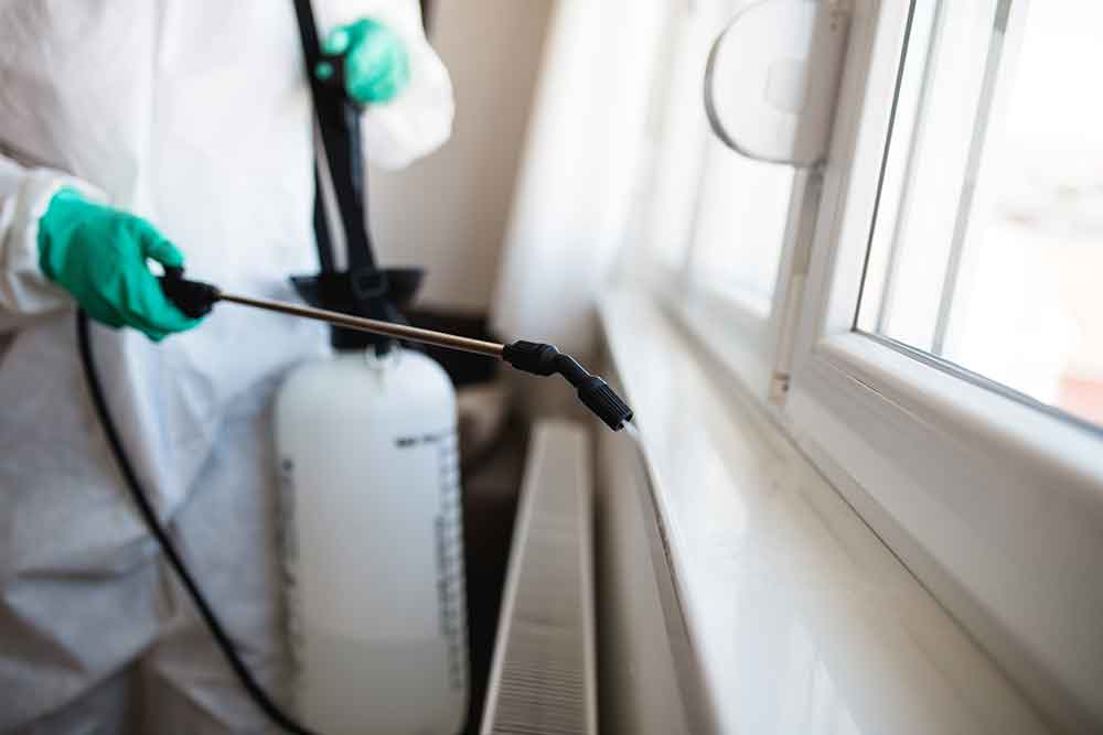 Pest Control Social Media Marketing