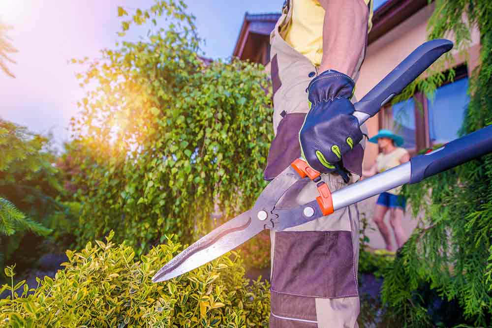 How Much To Charge For Garden Maintenance