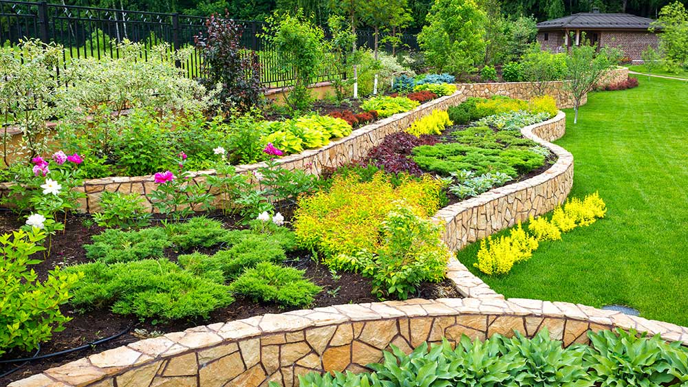 Sustainable Landscape Design Techniques