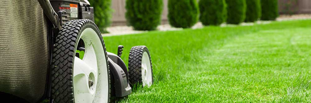 Upsell Lawn Care Landscape Business