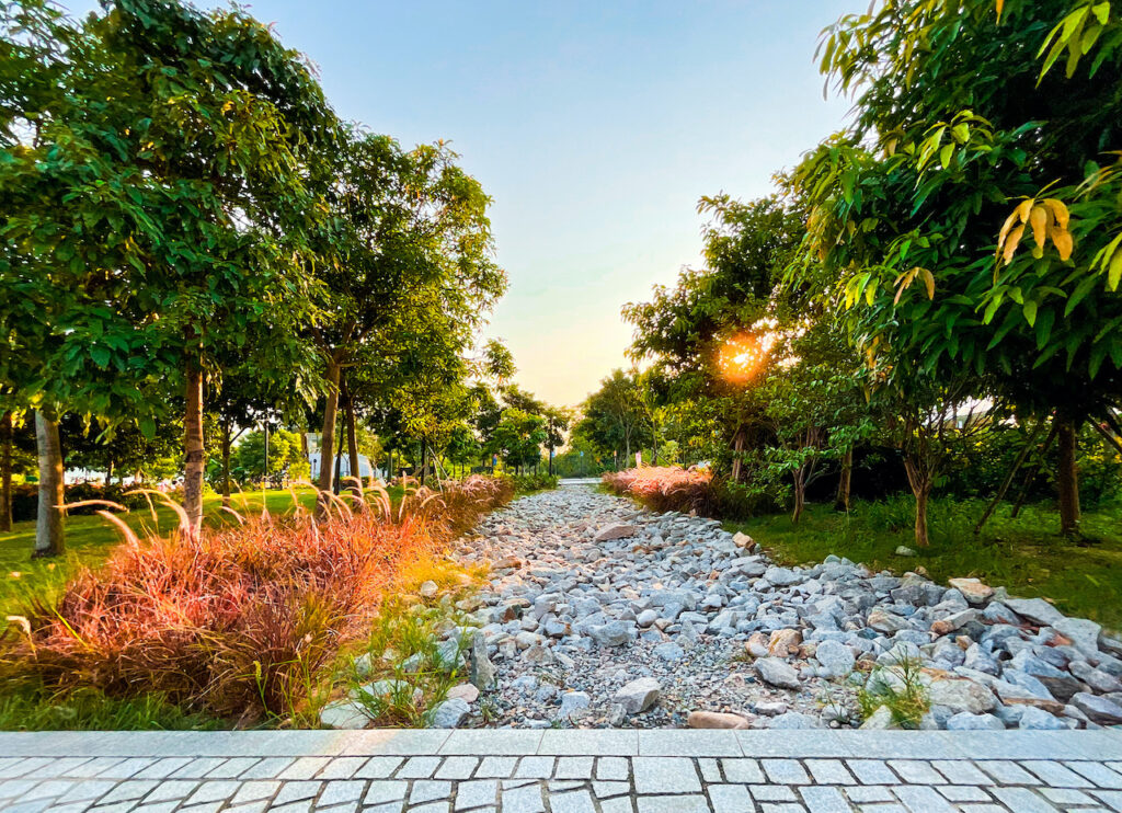 Rain garden surrounded by trees.