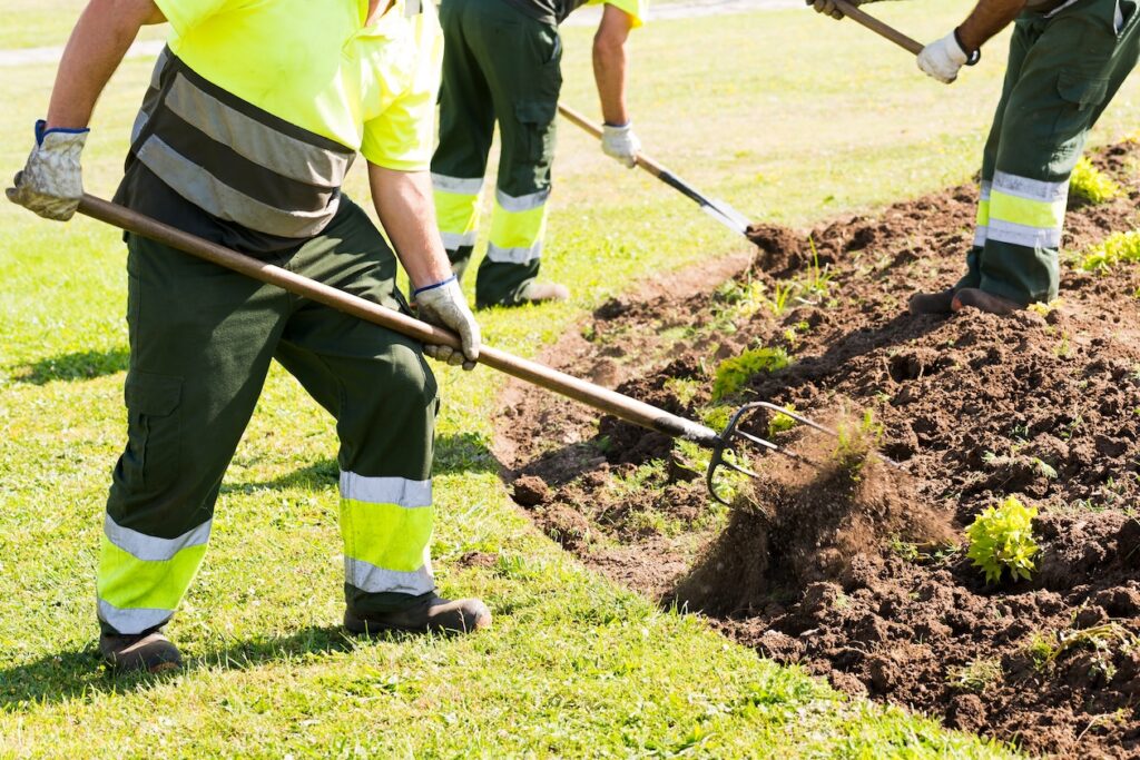 Landscapers wearing yellow spreading mulch.