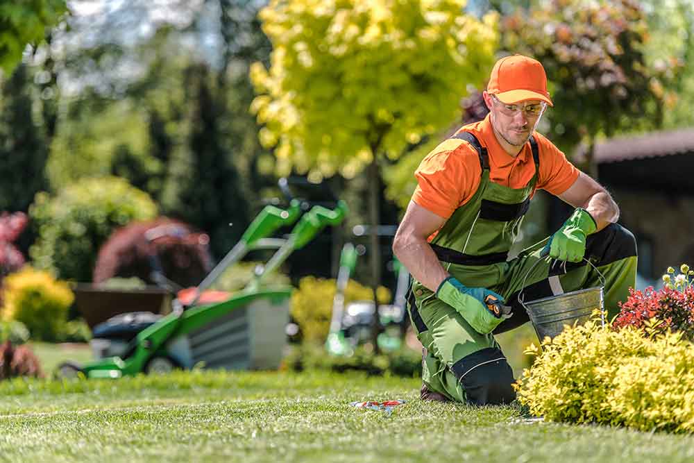 Preparing Your Landscaping Equipment, What Do Landscapers In The Winter Time Mean