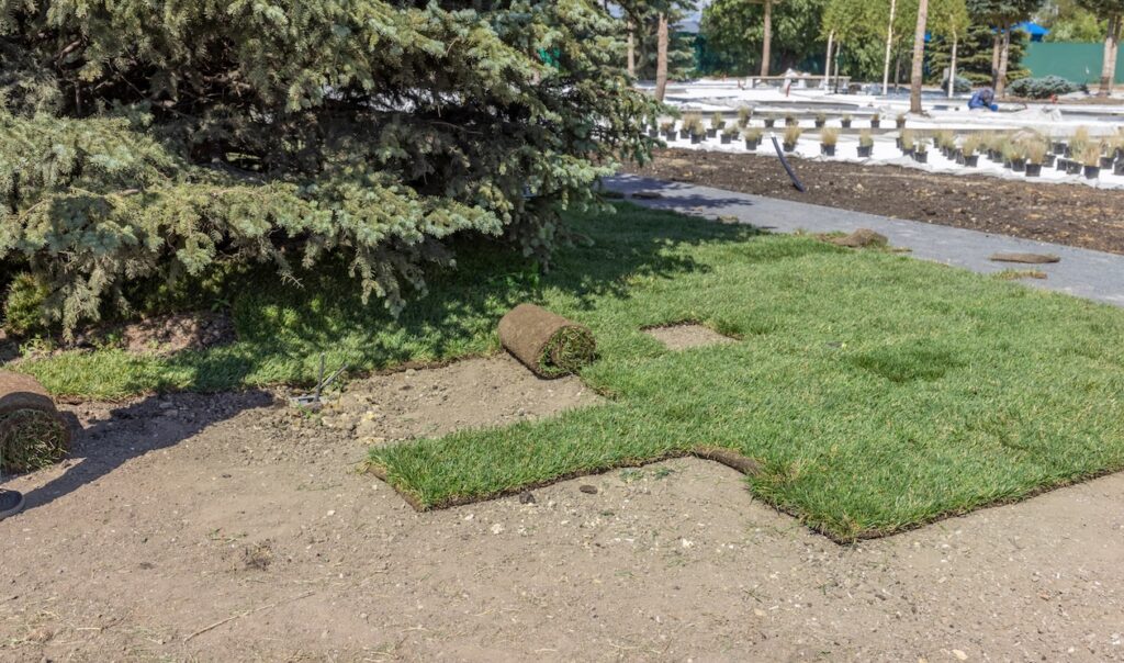 Freshly installed green sod rolls being laid over prepared soil in a residential yard during lawn installation