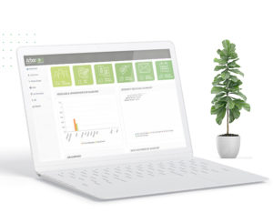 mac-book Power of Arborgold