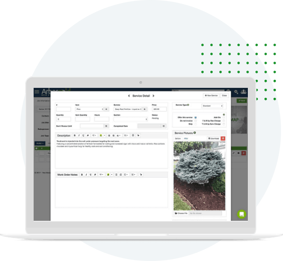 Bidding arborgold bidding