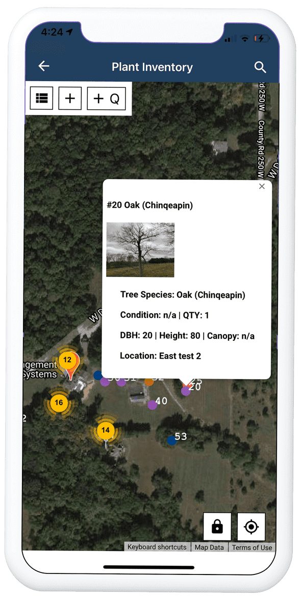 Arborgold mobile estimator tree care software for tree care companies