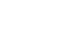 LOGO BLUE NATIVE