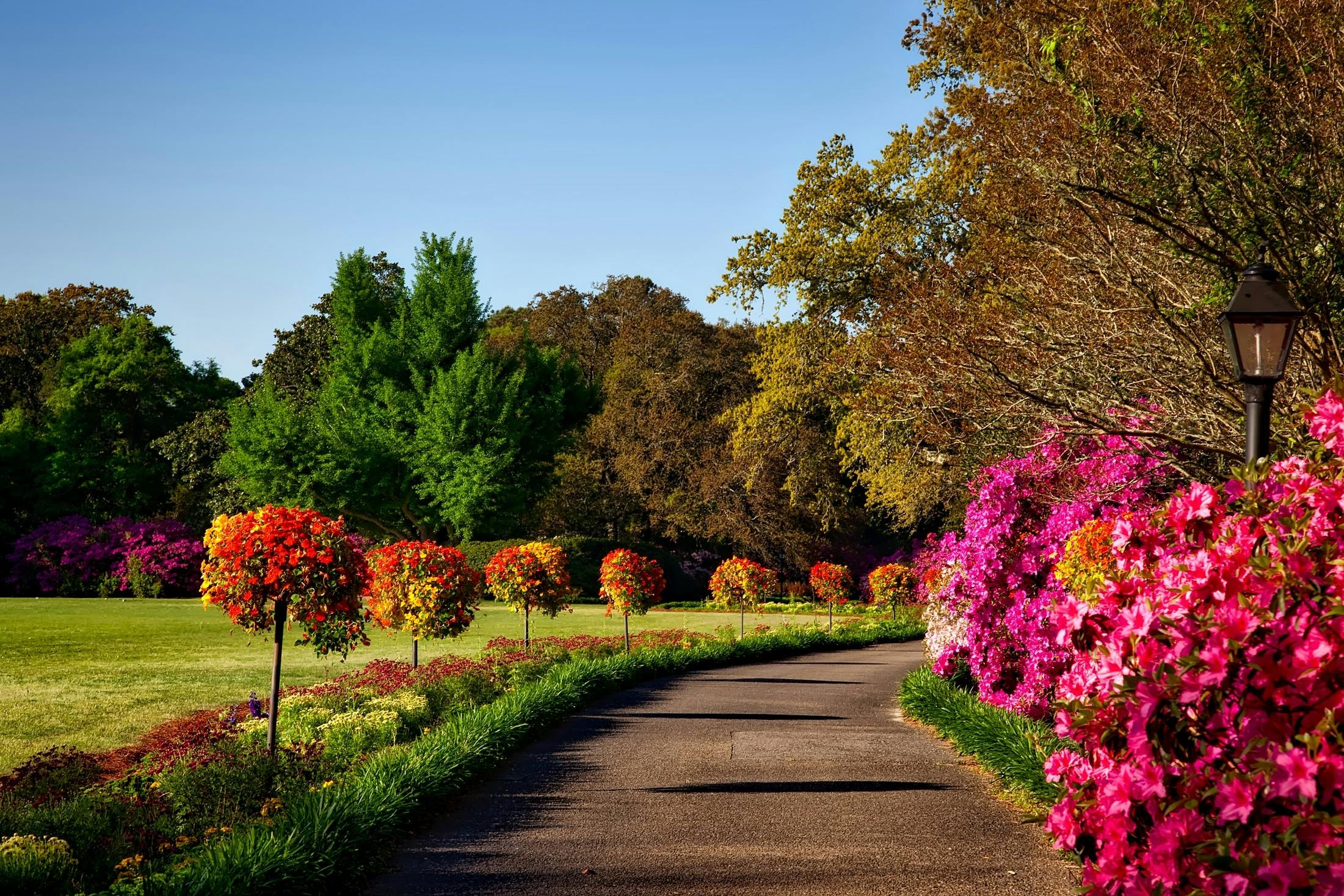 Driveway with colorful landscaping