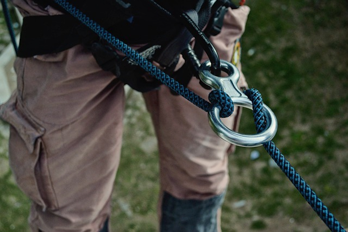 Essential Gear, Tools, and Tips For Arborists | Arborgold