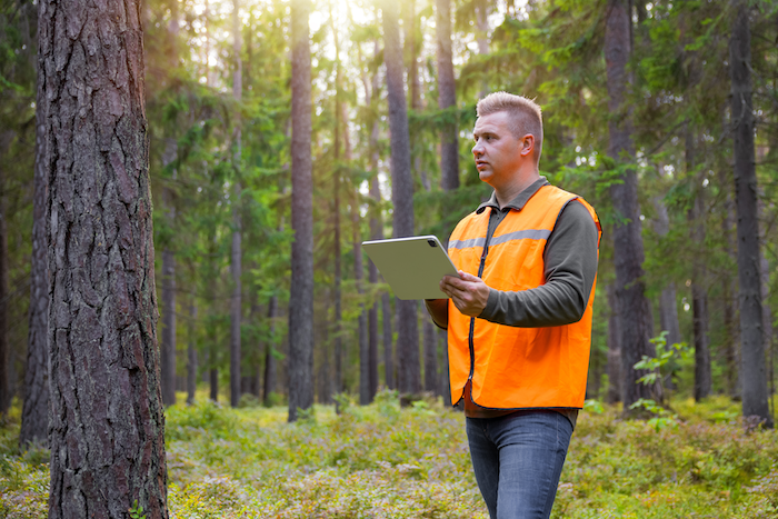Tree care professional using software in the field