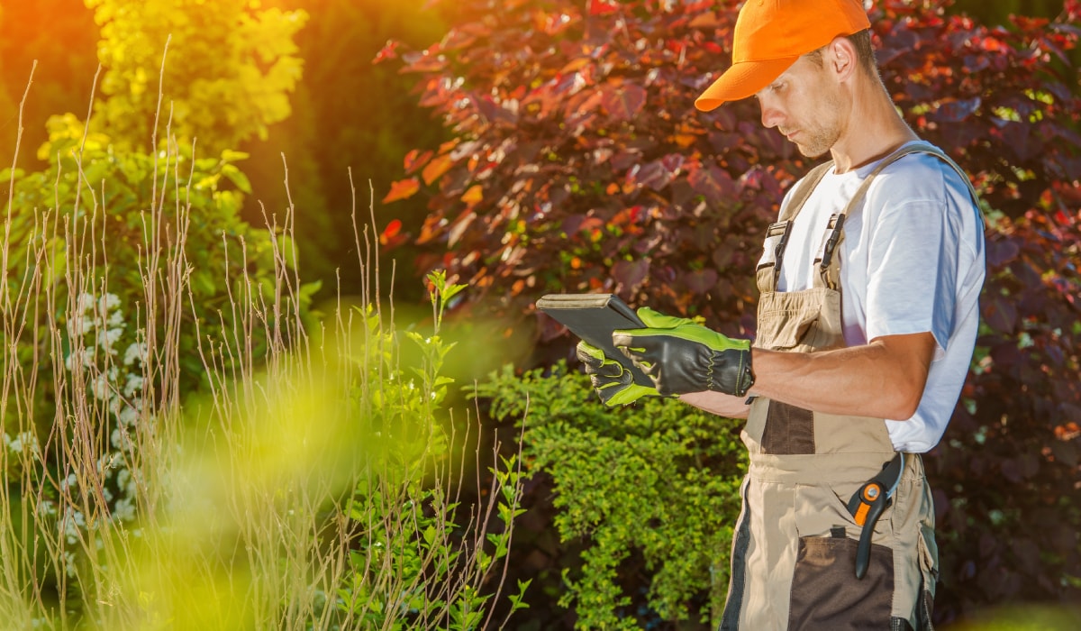 Landscaper looking at tablet. 