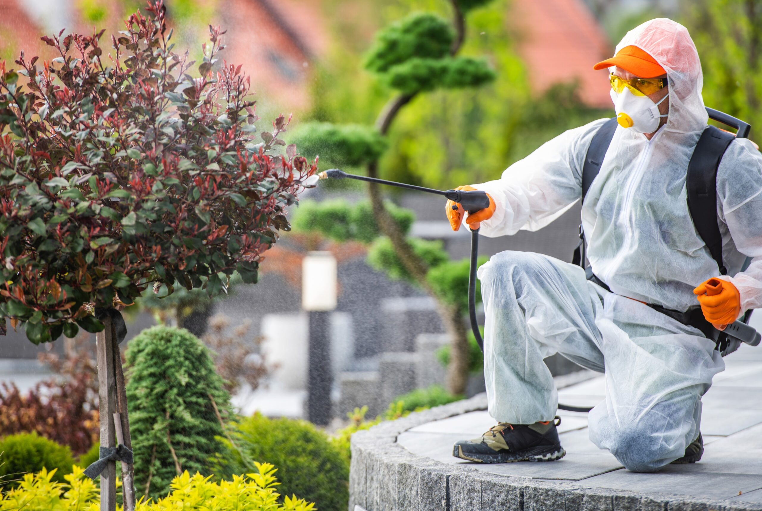 Worker in protective gear spraying a plant.