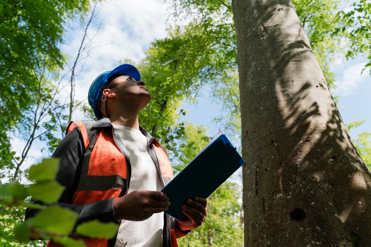 Track Your Crews Like Never Before: The Must-Have Tree Care Software for a Busy Spring Season