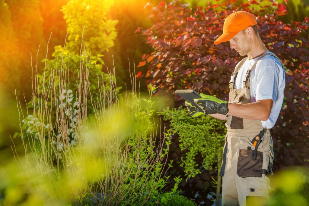Landscaper looking at a tablet in garden