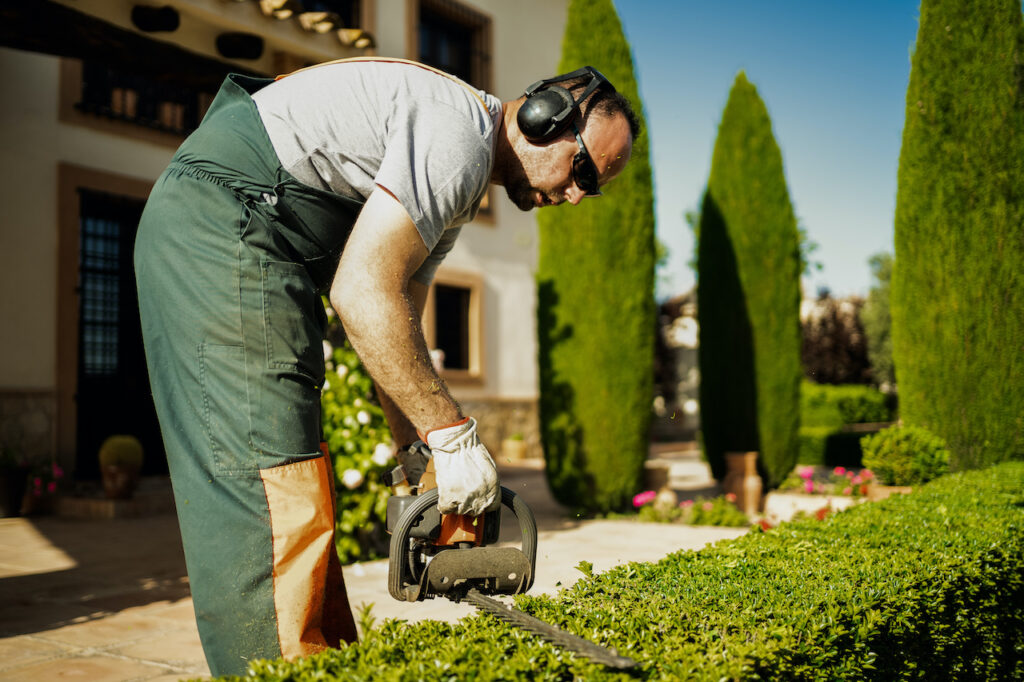 Lanscaper trimming hedges