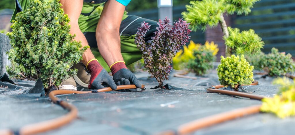 Landscaper working on a watering system.