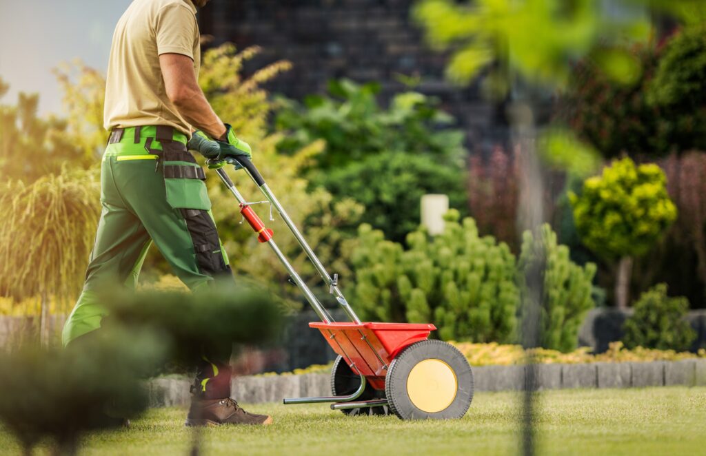 Landscaper spreading fertilizer on lawn
