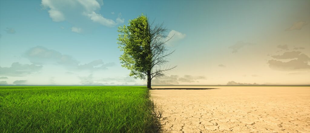 Illustration showing climate change impact with cracked, drought-dried ground transitioning into lush green growth, symbolizing water-efficient landscape solutions.