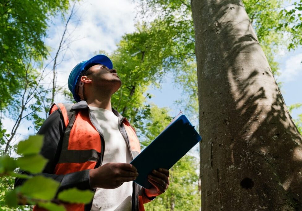 Track Your Crews Like Never Before: The Must-Have Tree Care Software for a Busy Spring Season