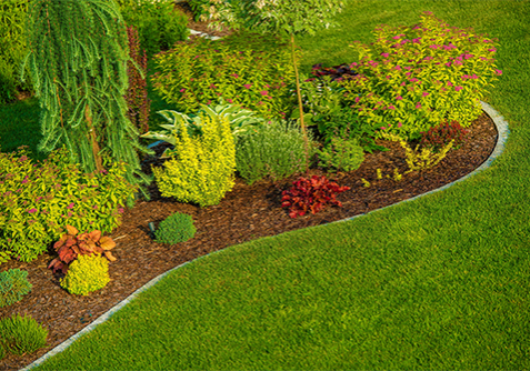 Greenscapes Landscaping