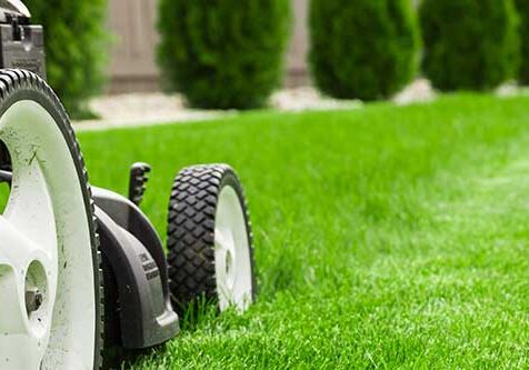 Upsell Lawn Care Landscape Business