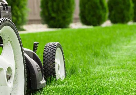 Commercial Lawn Care Business Accounts
