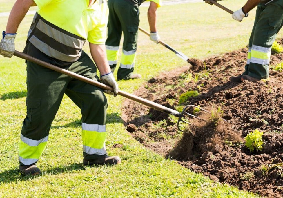 Landscapers wearing yellow spreading mulch.