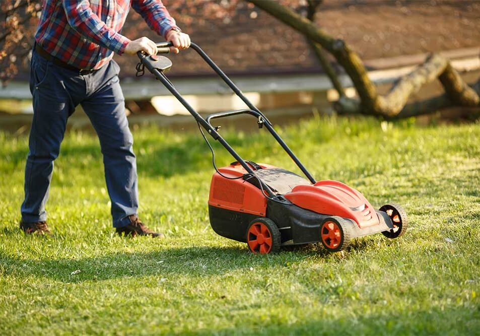 tasks lawn care business software can automate